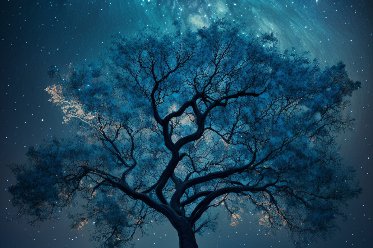 moomoolixu_an_image_of_a_beautiful_tree_at_night_starry_sky_bac_3aa06314-2898-47dc-8621-a35b65442310